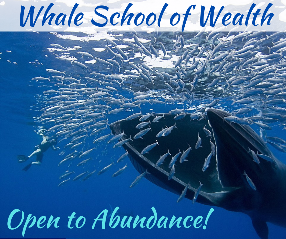 Whale School of Wealth
